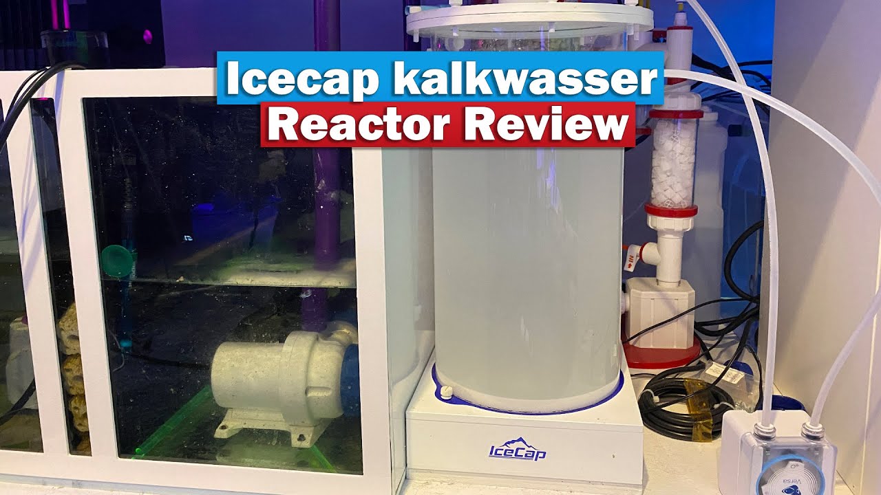 Icecap kalkwasser Reactor Review - Saltwater Aquarium Reef Tank Dosing