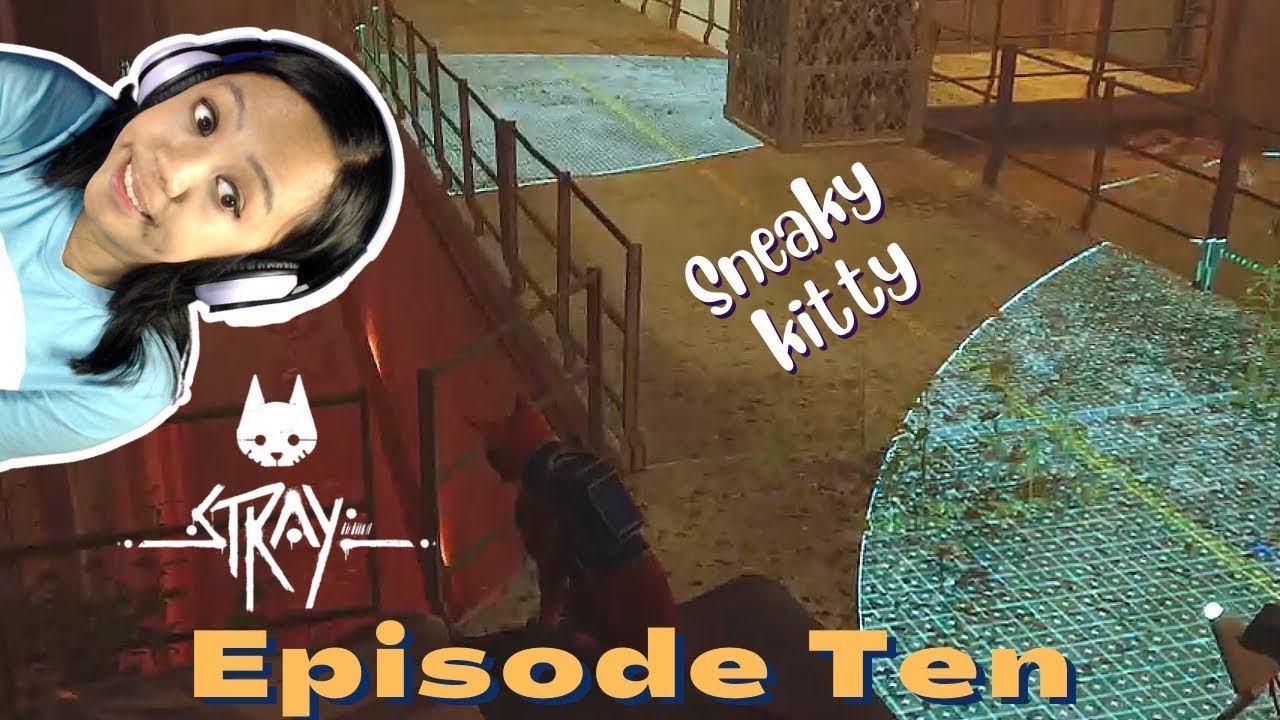 WE HAVE TO BE SNEAKY | Stray - Episode 10