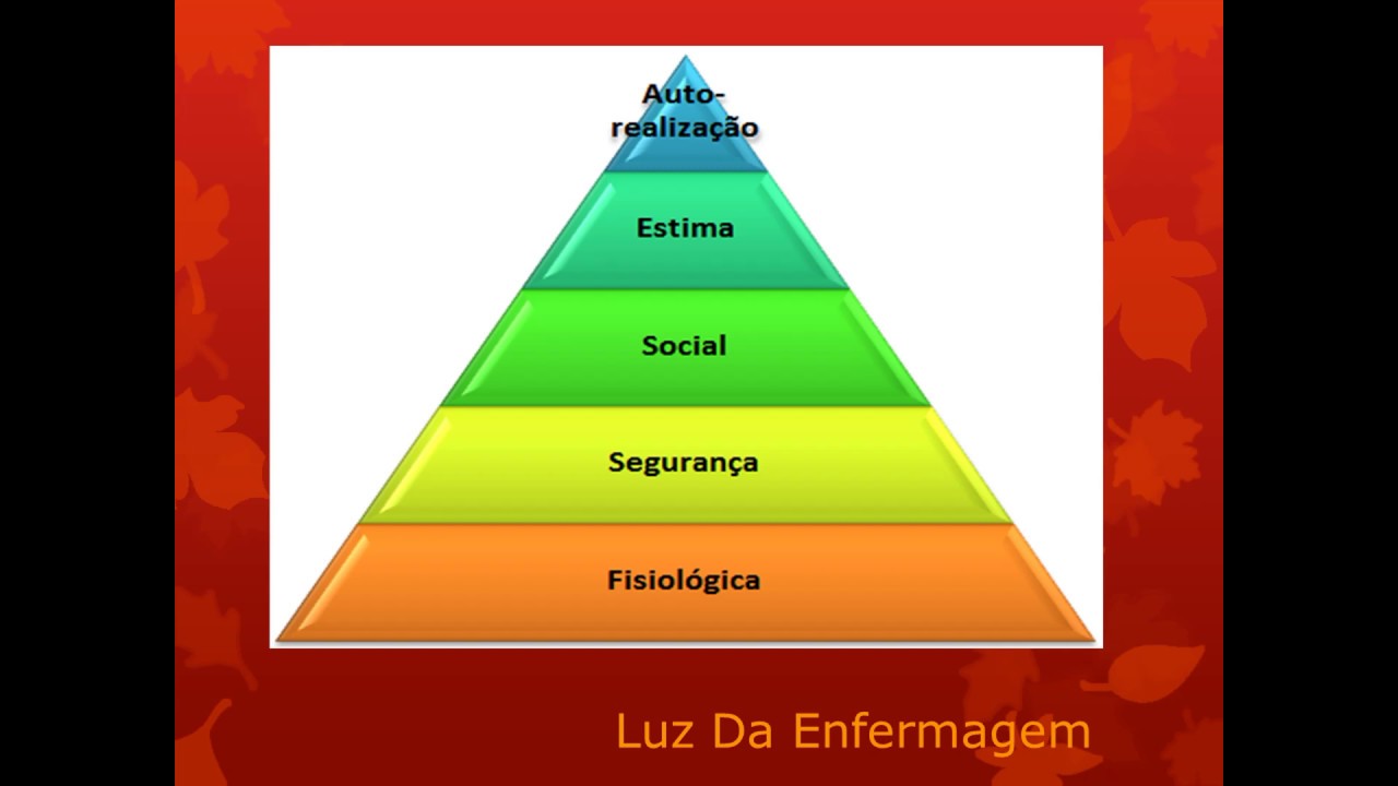 Necessidades Humanas Básicas
