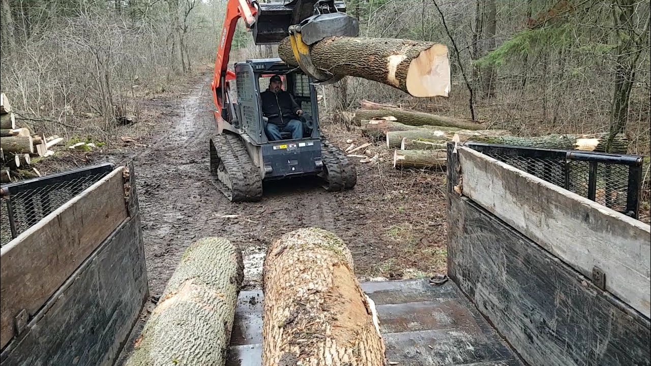 Moving logs and processing firewood