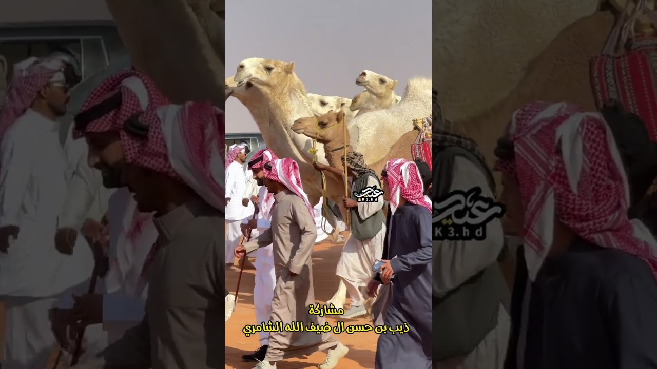 مشاركة ذيب بن حسن ال ضيف الله الشامري