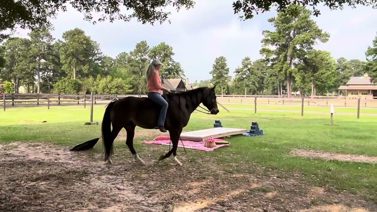 Clay I Video Trail Challenge Basic Amateur