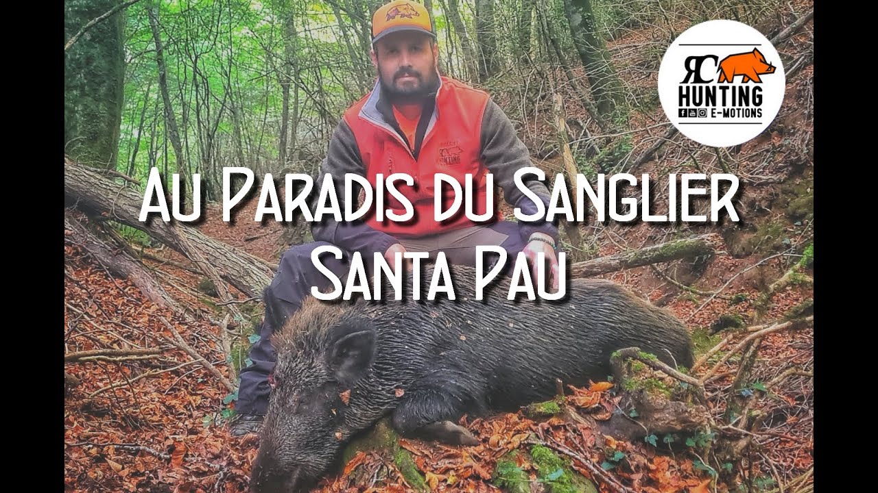 Au Paradis du Sanglier - Chasse en battue en Espagne