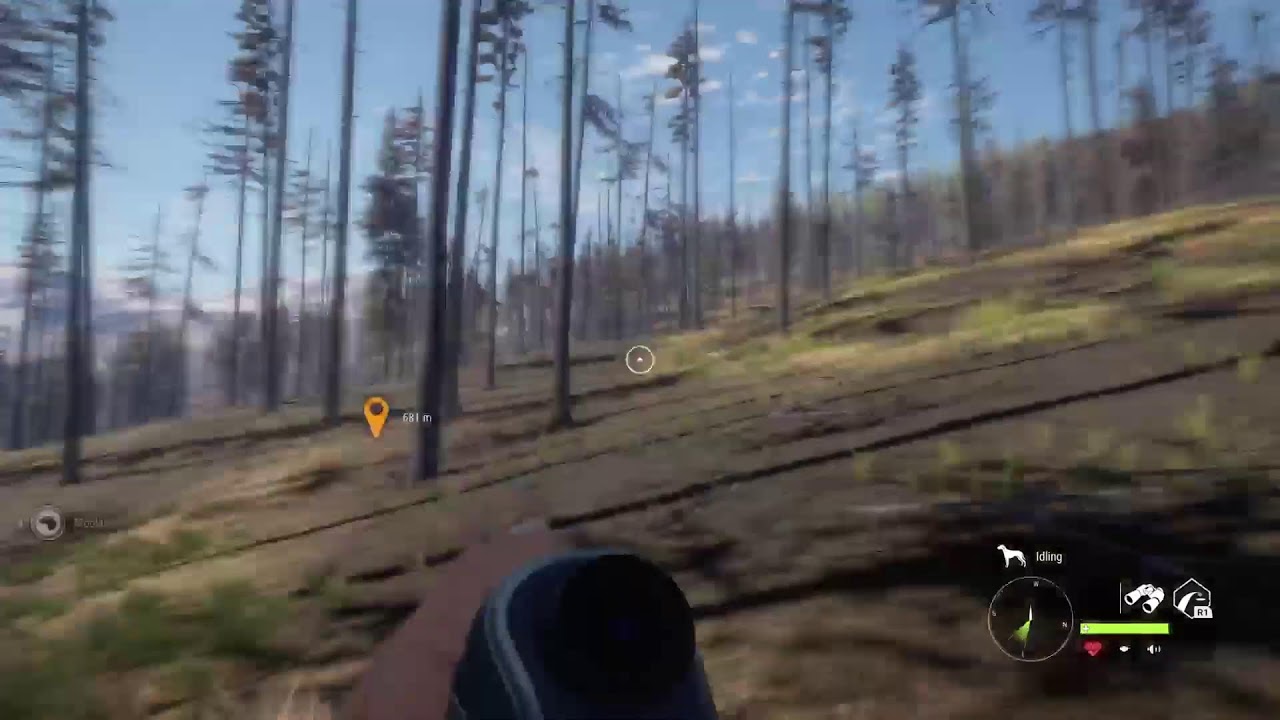 Thehunter: Call of the Wild livestream