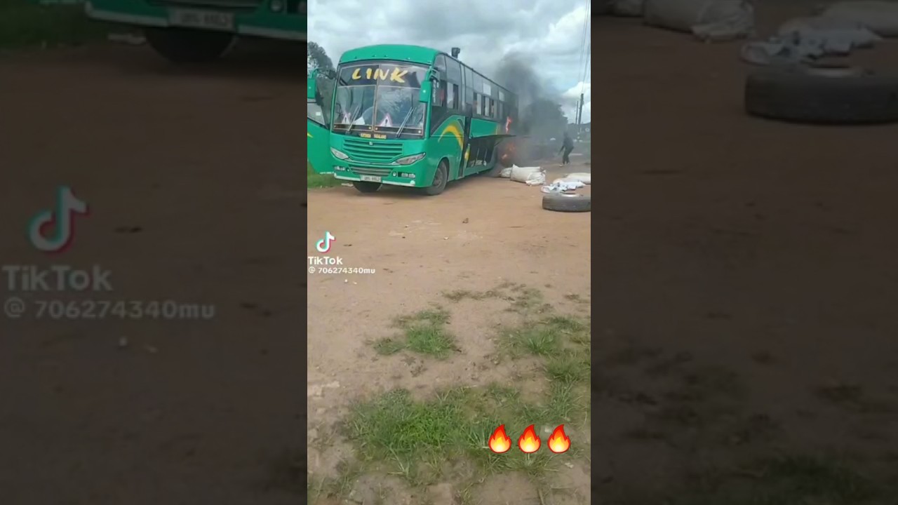 Link Bus Fire : Passenger's Brave Attempt to Save the Day