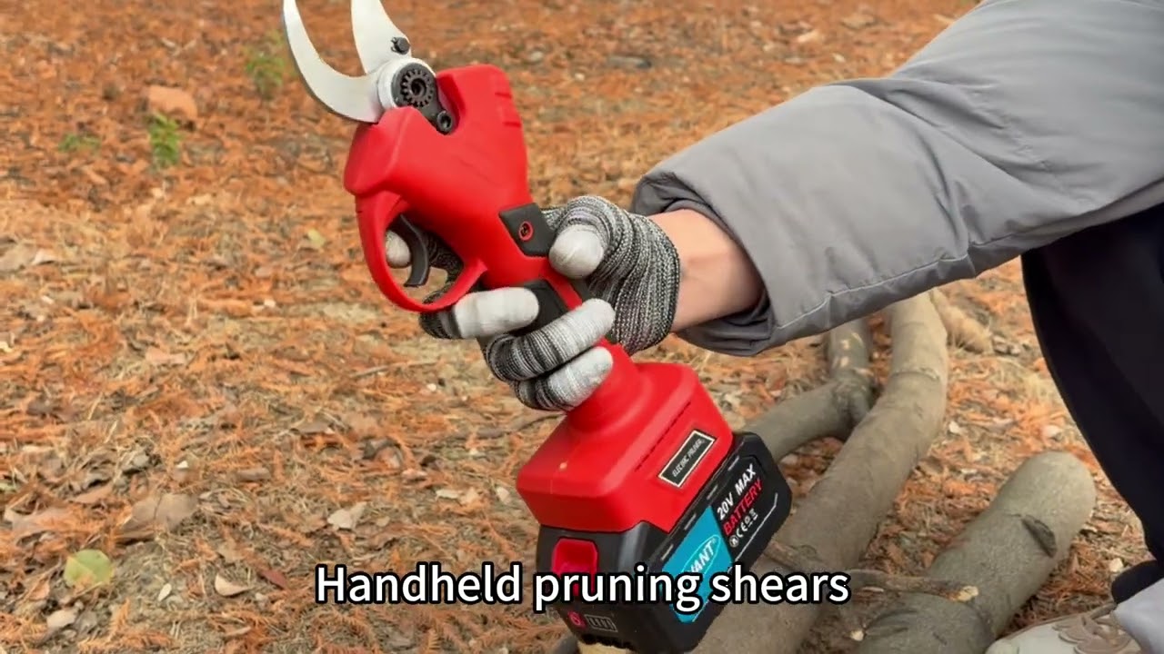 great power tools for tree pruning.