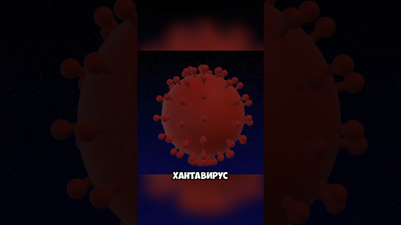 Хантавирус. Стоит ли бояться?