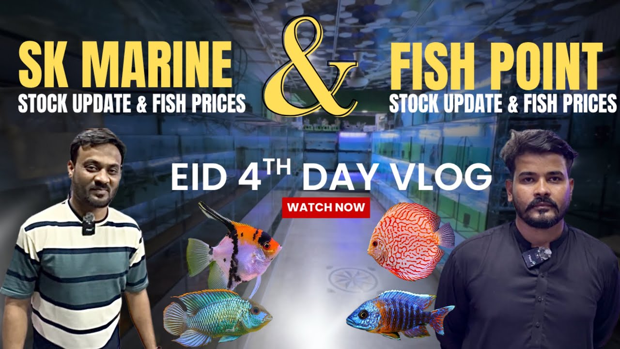 SK Marine & Fish Point Fish Stock with Prices | Eid Special Vlog - Imran&rsquo;s World