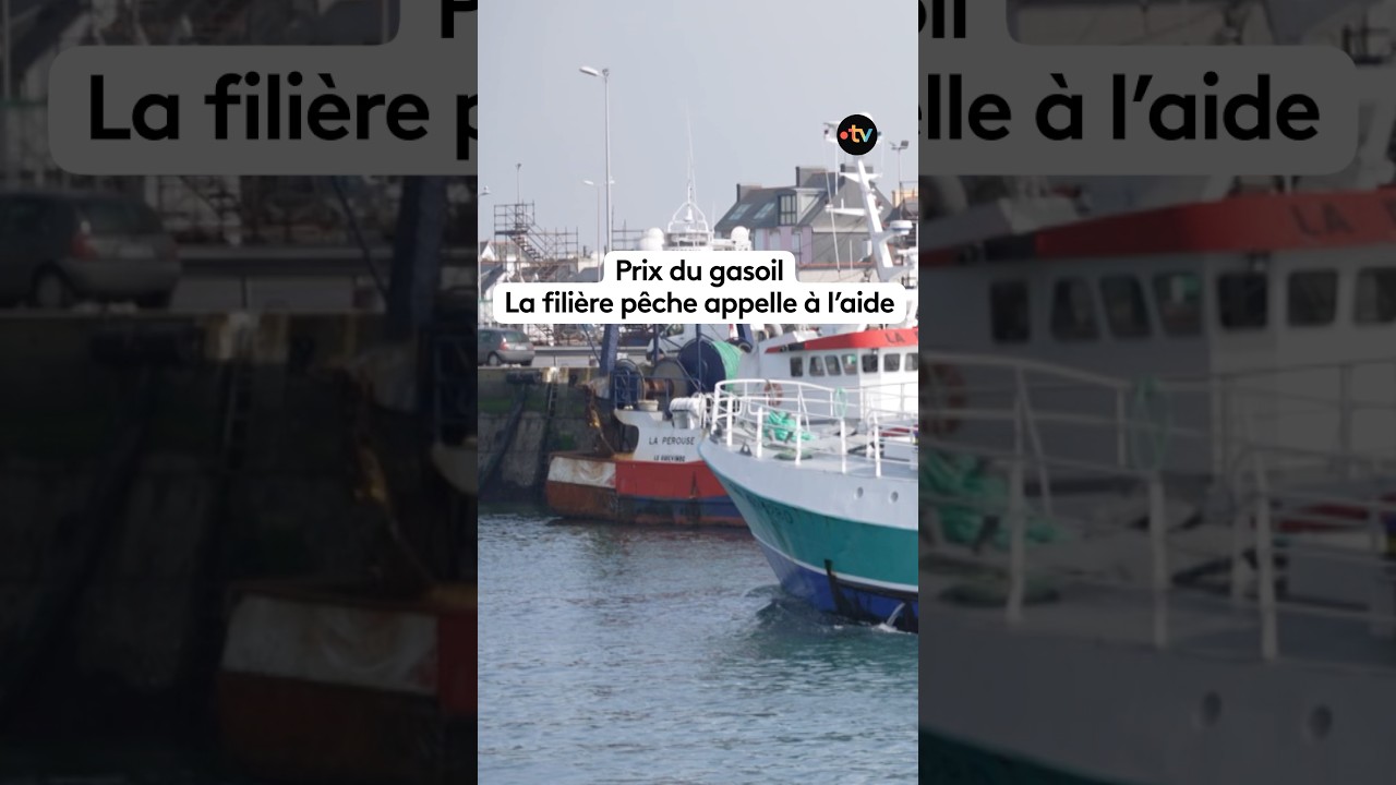 Prix du gasoil : la fili&egrave;re p&ecirc;che appelle &agrave; l&rsquo;aide #p&ecirc;che #prix #carburant #economie