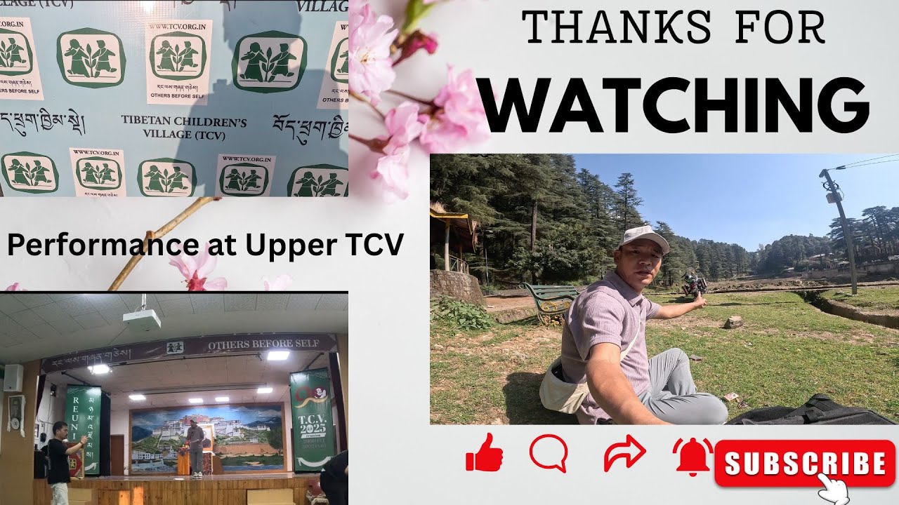 Performing Himachali and Monpa song at Upper TCV, invited by 2000 and 2002 batch. #tibetanvloger