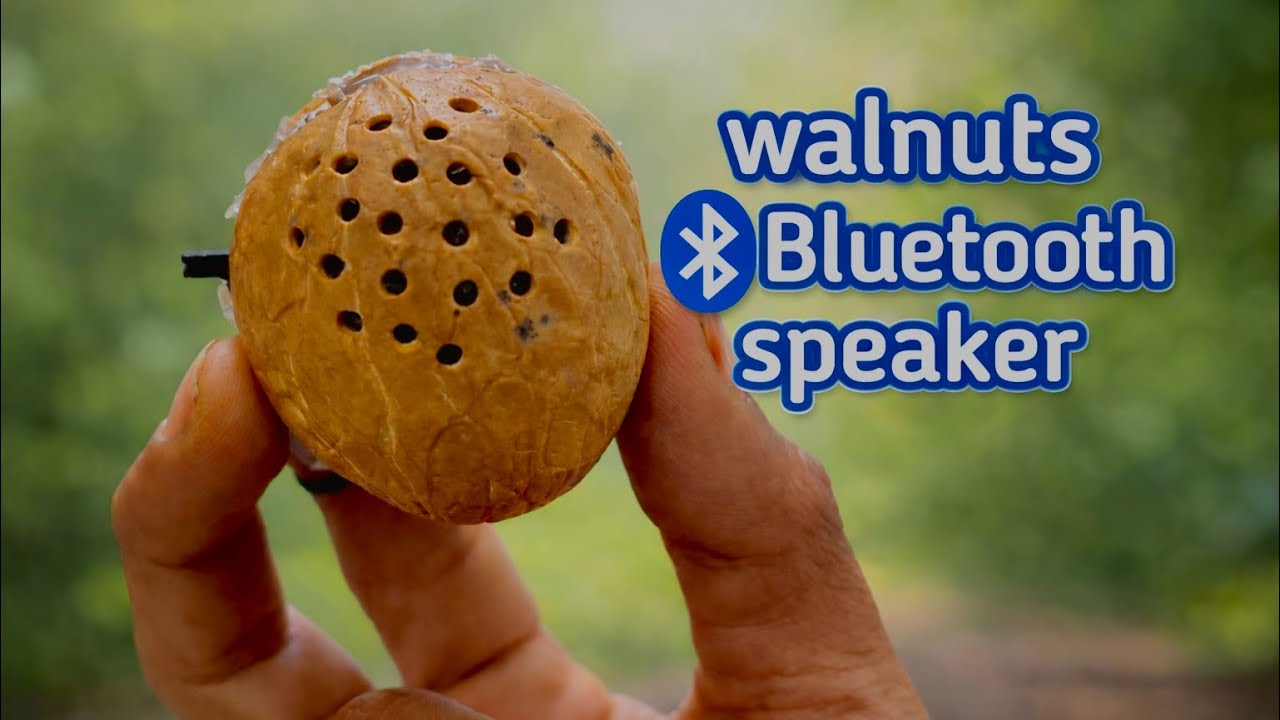 How to make a mini walnut Bluetooth speaker…|अखरोट से Bluetooth स्पीकर बनाएं /