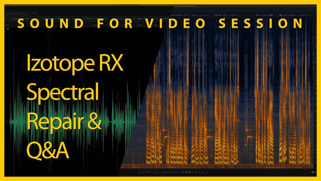Sound for Video Session — Izotope RX Spectral Repair & Q&A