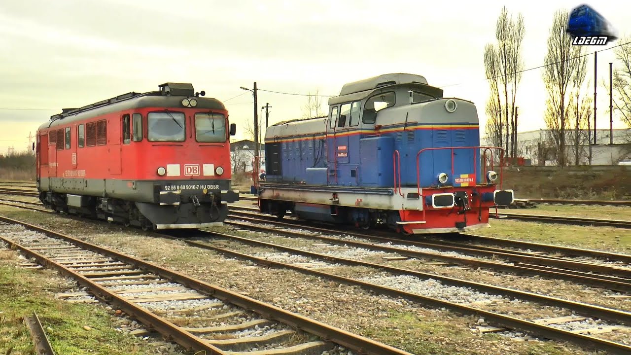 Locomotive Diesel la Manevră în Triajul Terminalului din Oradea Est - 30 Ianuarie 2025