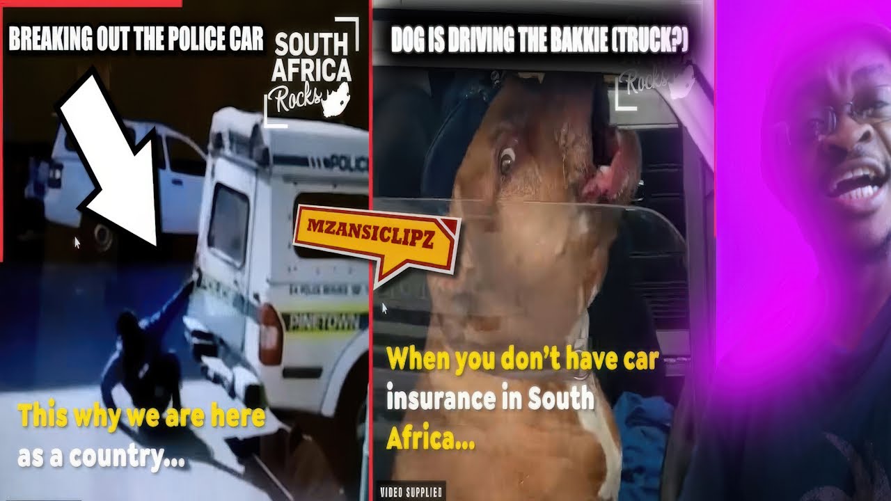 Living In South Africa Is A Full Time Job 👷🏿‍♀️ 🇿🇦