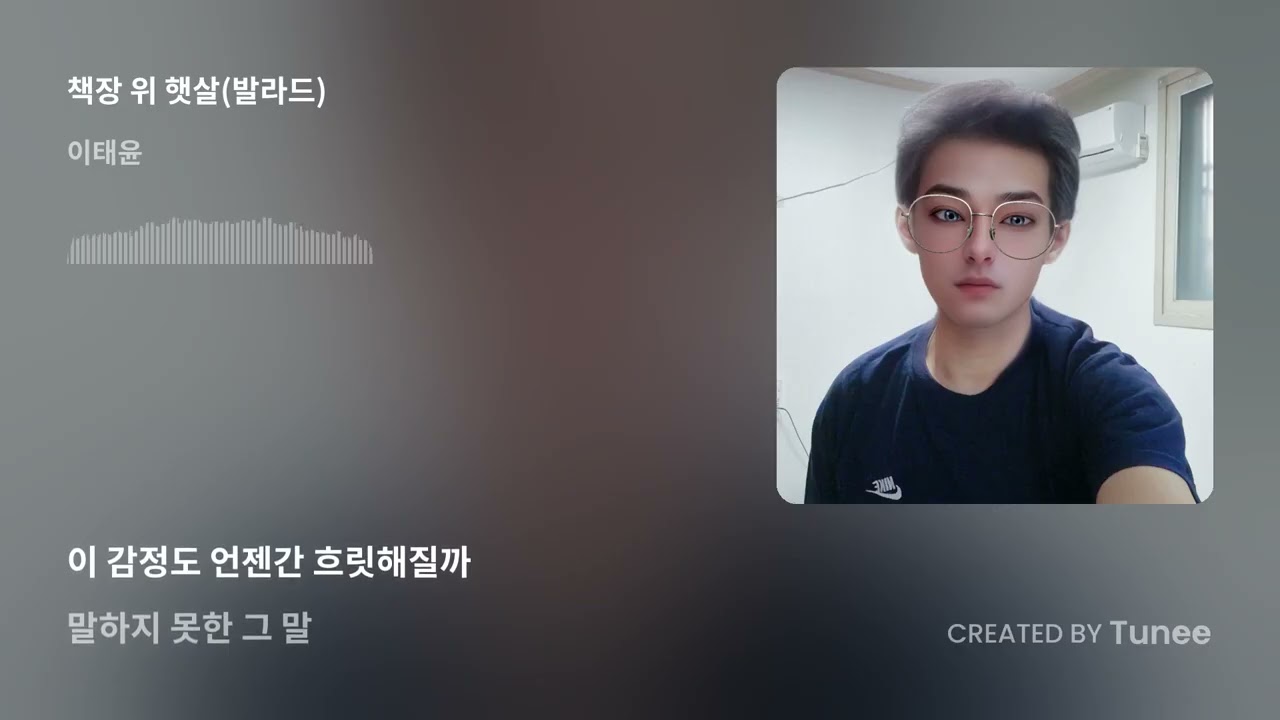 책장 위 햇살