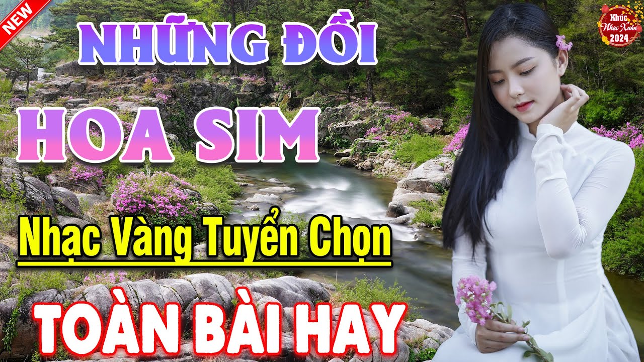 NHỮNG ĐỒI HOA SIM, NGOẠI Ô BUỒN ➤ LK Ca Nhạc Xưa TOÀN BÀI HAY Mới Ra Lò NGHE LÀ SAY MÊ 2024