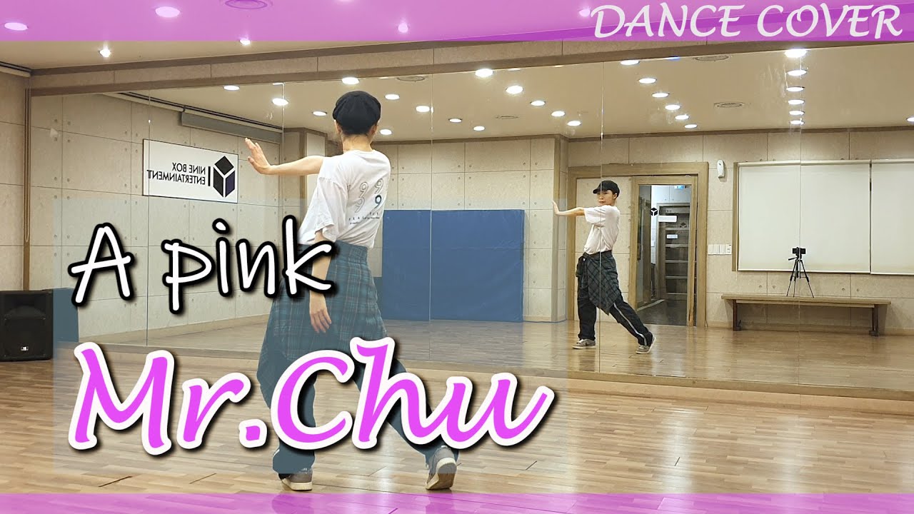 Apink (에이핑크) - Mr.Chu 미스터츄 | 안무 거울모드 Mirrored Dance Cover