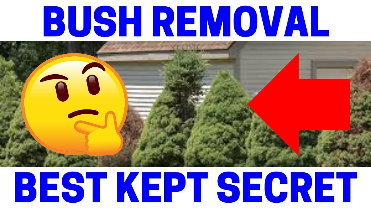 How To Easily Remove A Bush Shrub In Minutes!