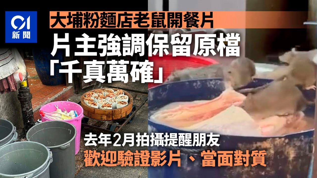 【01秒看新聞】大埔粉麵店疑現鼠蹤｜片主：拍片原為提醒友人　千真萬確歡迎對質｜01新聞｜大埔｜粉麵店｜老鼠｜AI｜社交平台