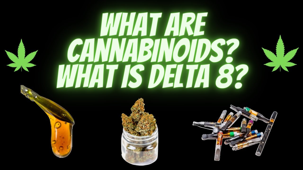 What are Cannabinoids? What is Delta8?
