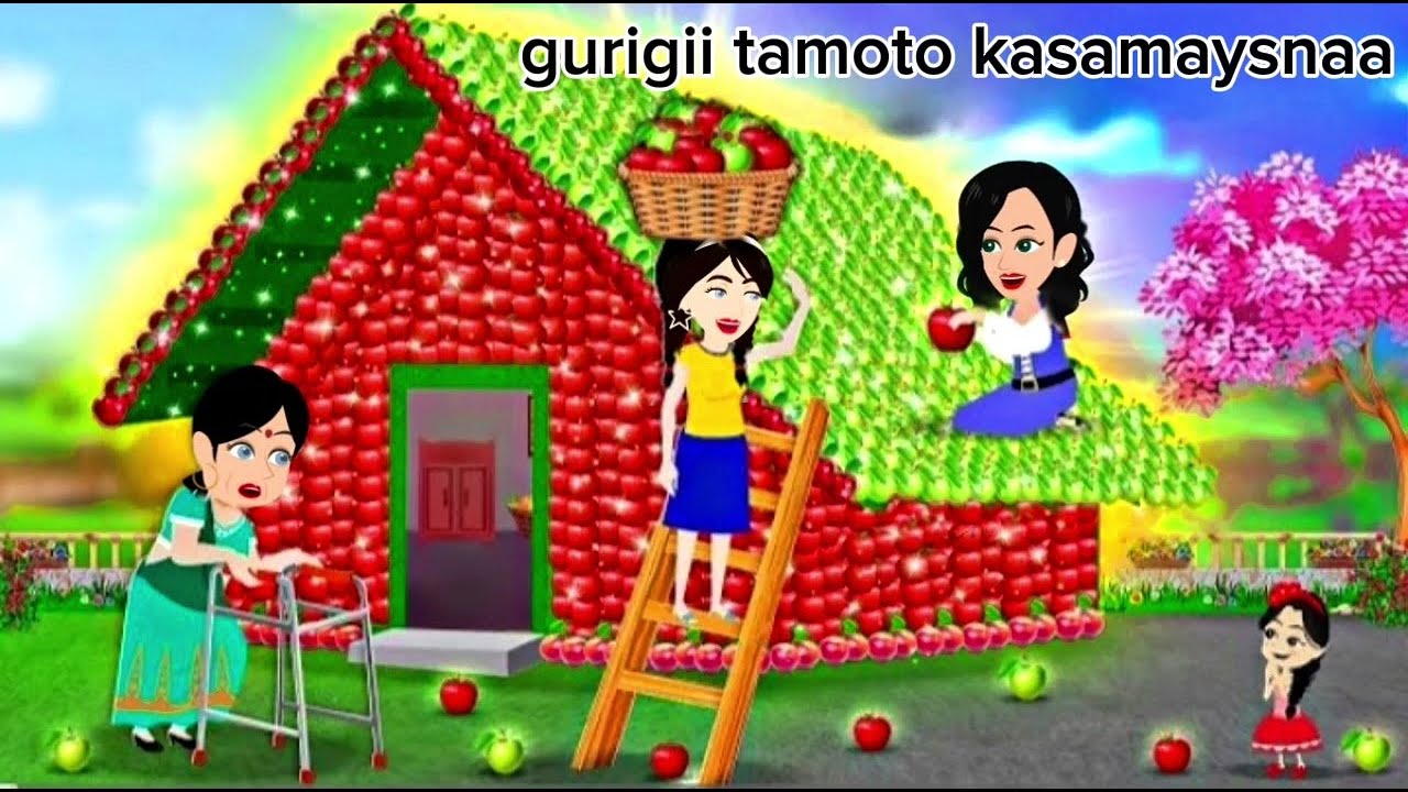 Sheeko gaaban: gurigii kasamaysnaa tomato da