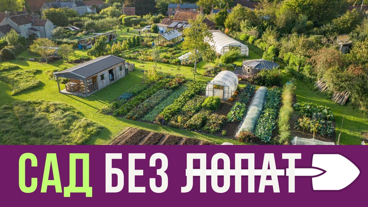 Британский садовод НЕ копает 40 лет и собирает обильный урожай