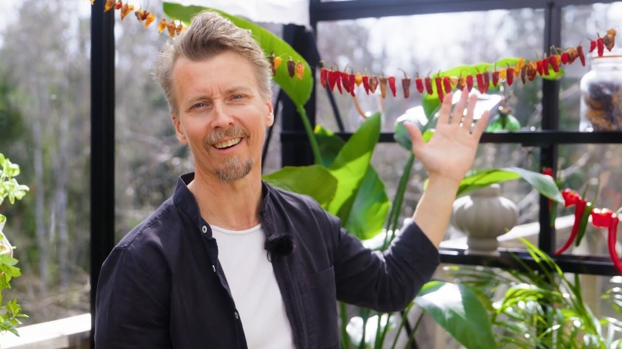 Kökets trädgård del 7 - Odla chili - Köket