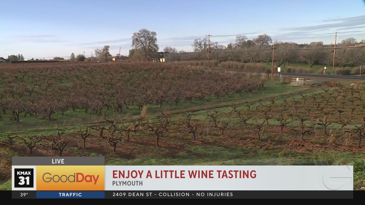 Wine tasting in Plymouth!