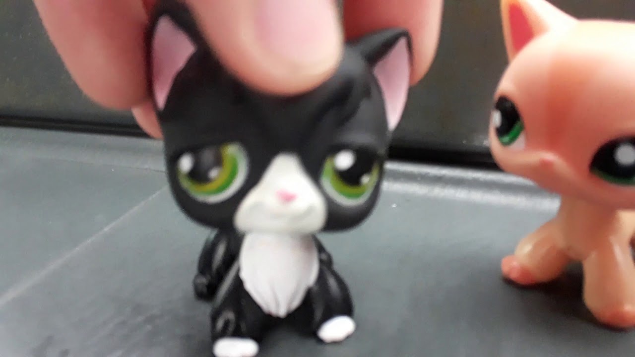 LPS toy hunt /vlog #1