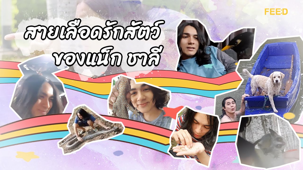 แน็ก - ชาลี : ความรักสัตว์กับมอเตอร์ไซค์ของรัก ที่ทำให้ชีวิตขาดทุนย่อยยับ : FEED