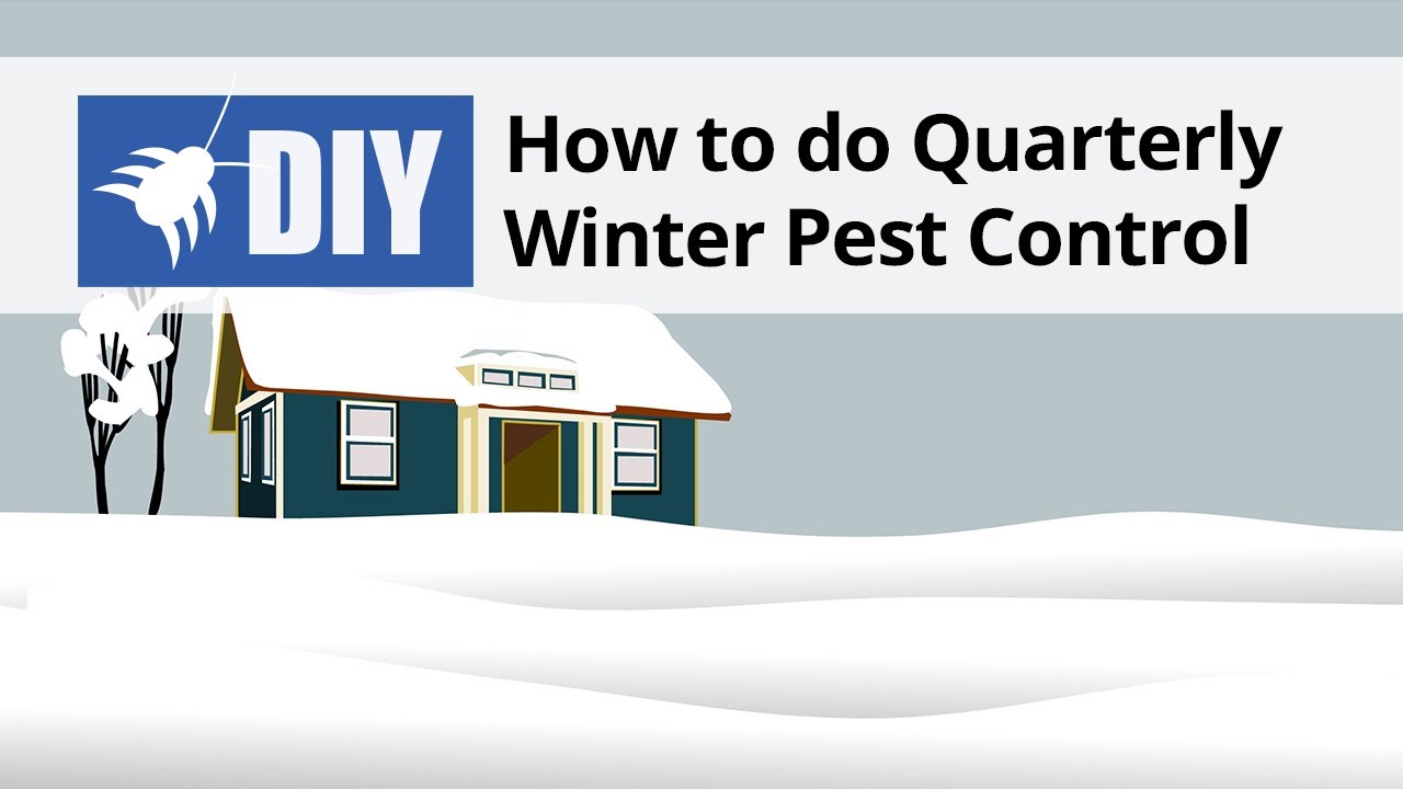 How to do a Quarterly Winter Pest Control Treatment | DoMyOwn.com