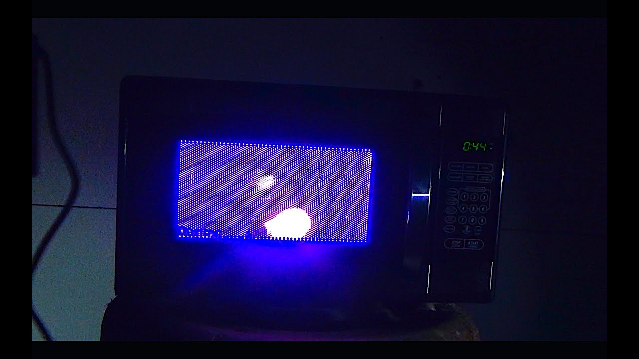 What Happens When You Put Light Bulbs in the Microwave