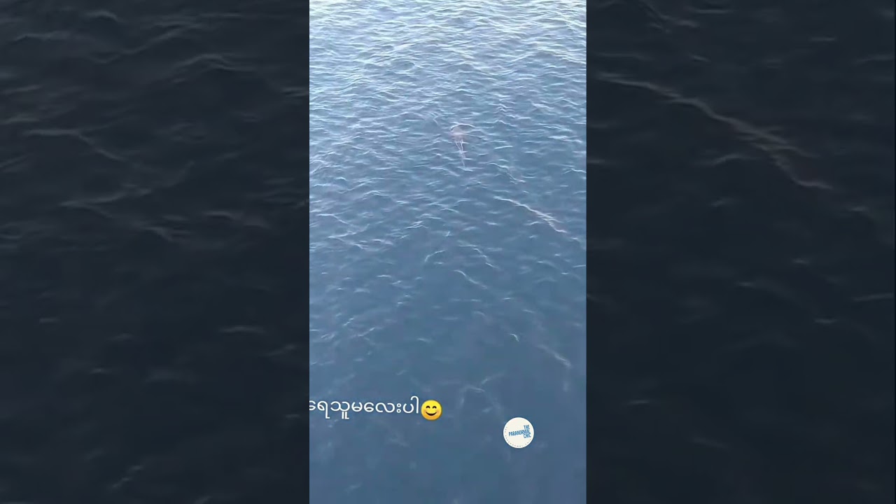 Mermaid Sighting Spotted in Taiwan by Navy Sailors