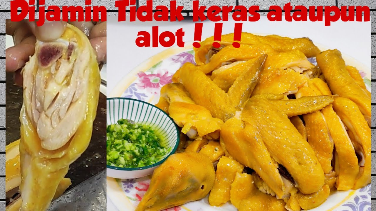 Resep bikin pak jit kai||Steam ayam ala Hongkong empuk tidak keras dan berwarna kuning 