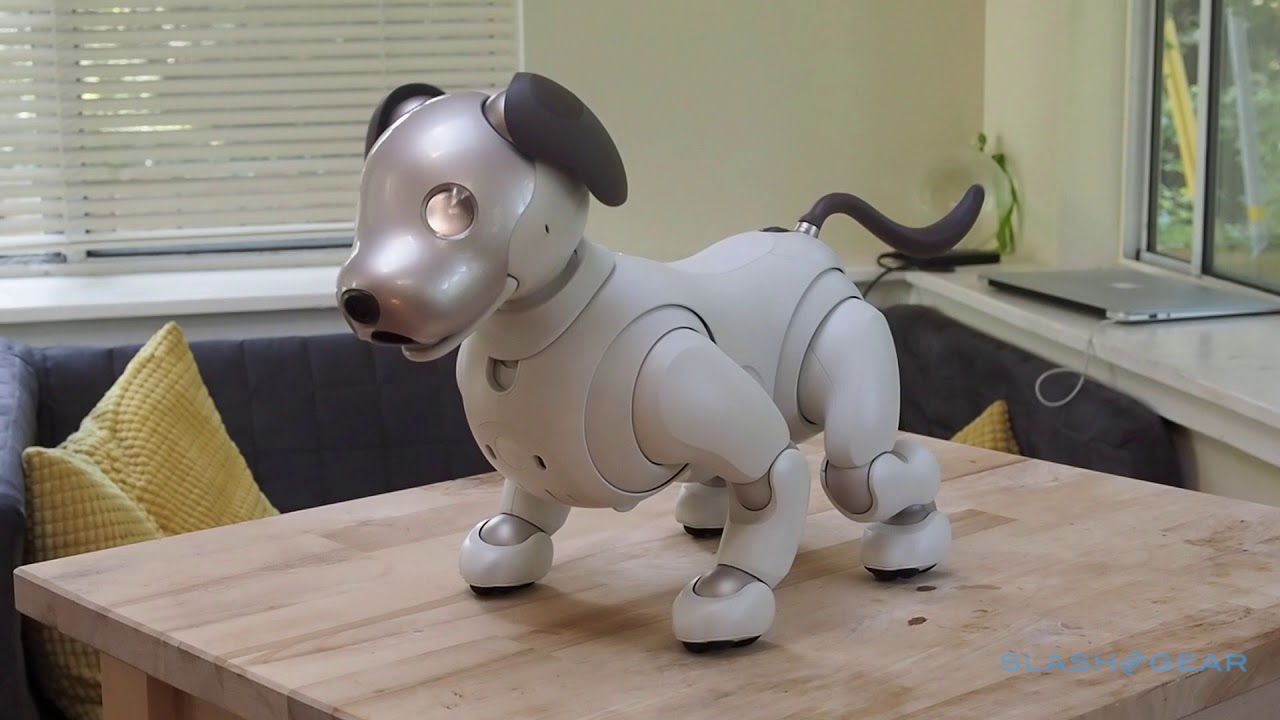Sony aibo (2018) starting up