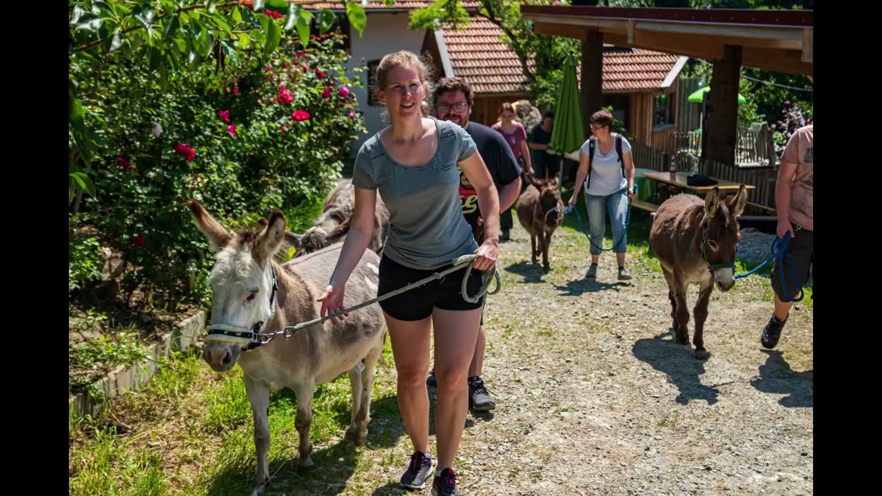 Basiskurs am Eselhof Daxstein