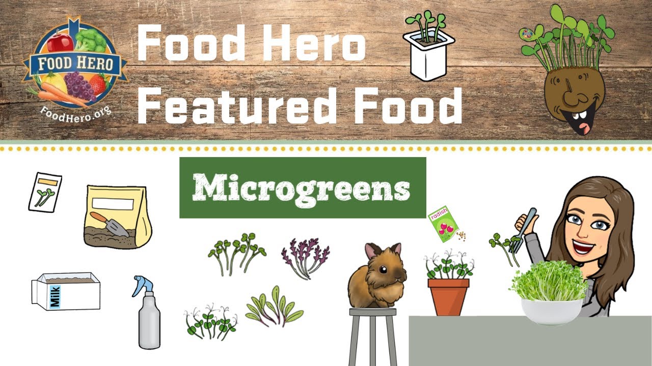 All About Microgreens