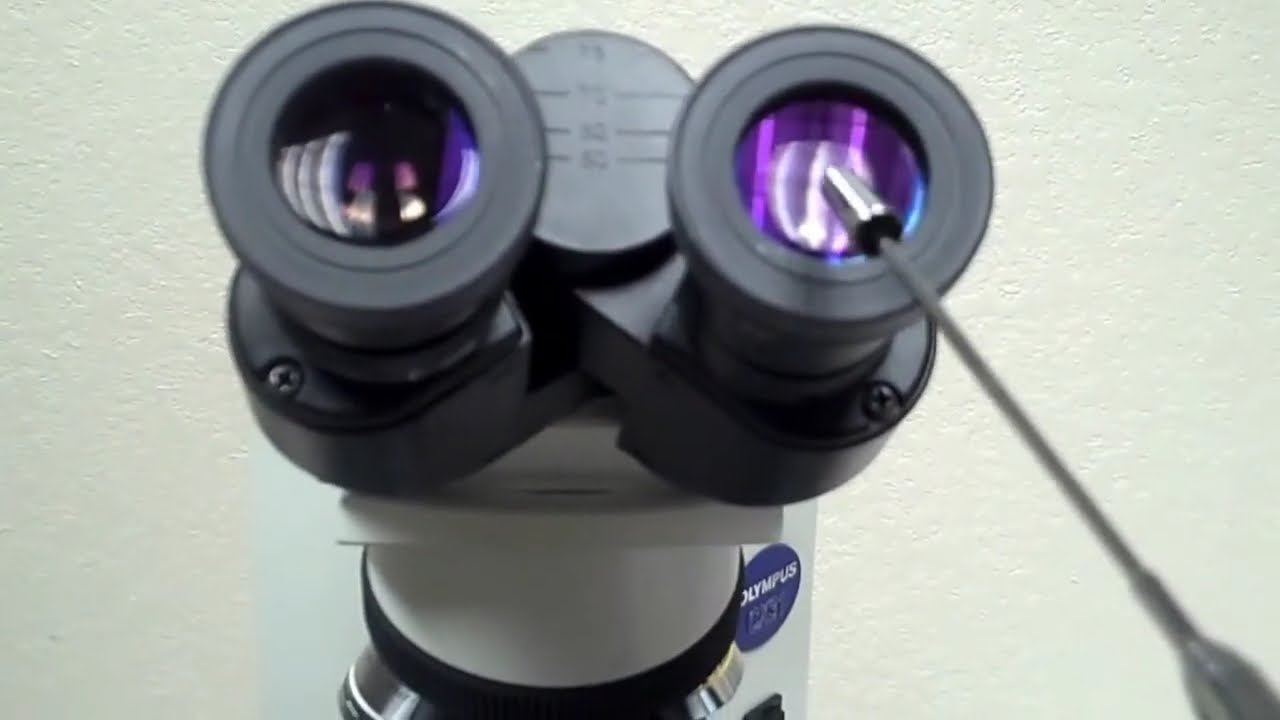 Olympus CX31 Microscope Parts and Function