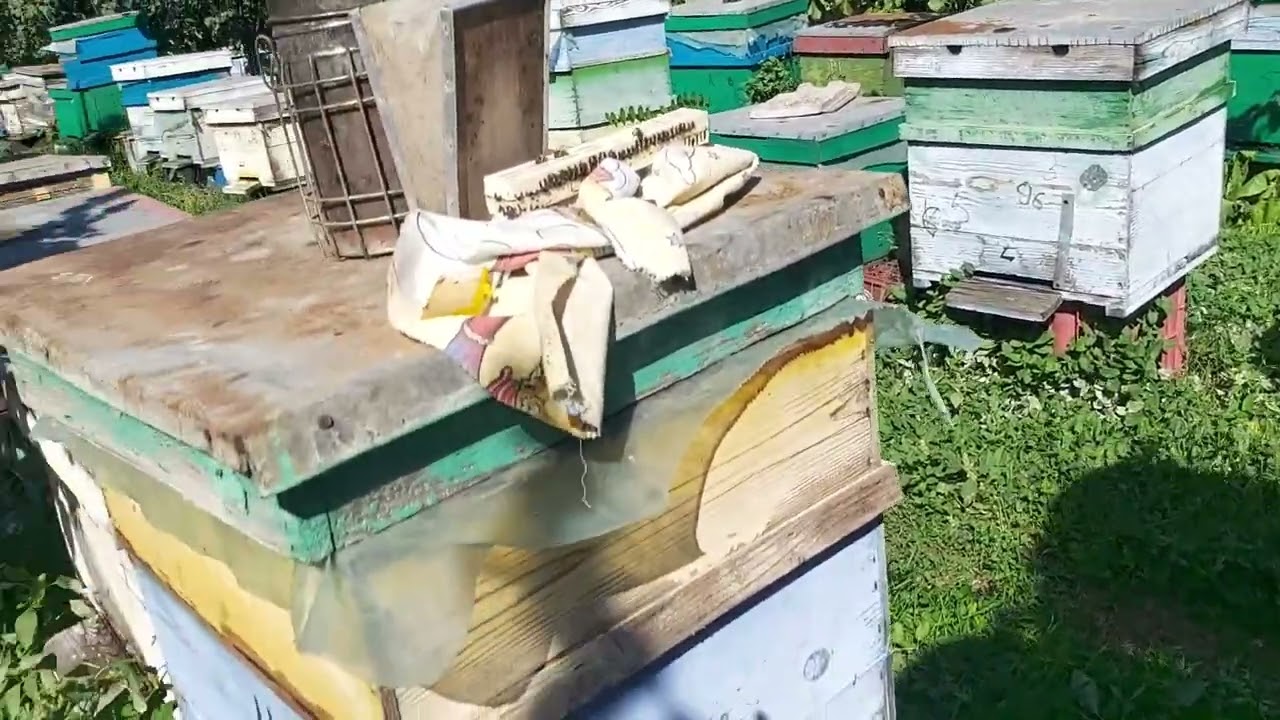 Metoda cea mai simpla de schimbat matca!