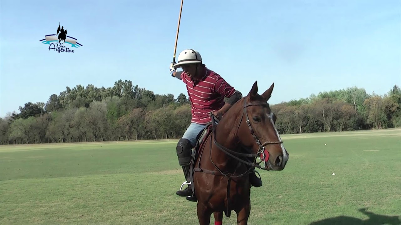 Bien Argentino - Golpes de polo