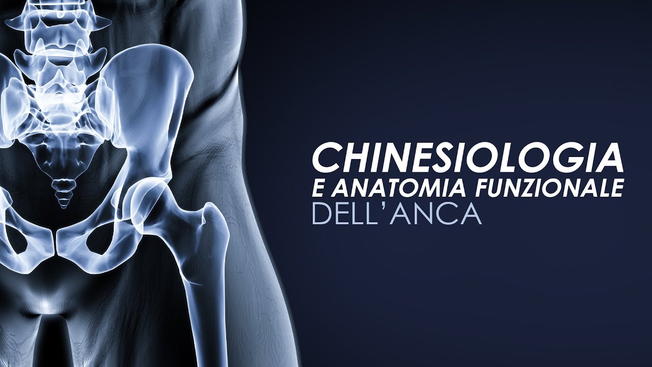 CHINESIOLOGIA dell'ANCA