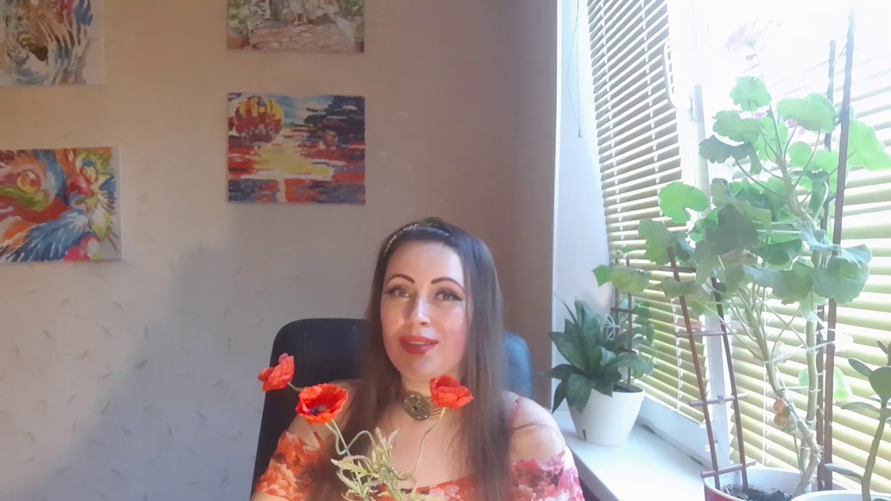 ⛏ Как некоторые студии набирают себе фотостокеров на примере Wirestock. Обзор Poly
