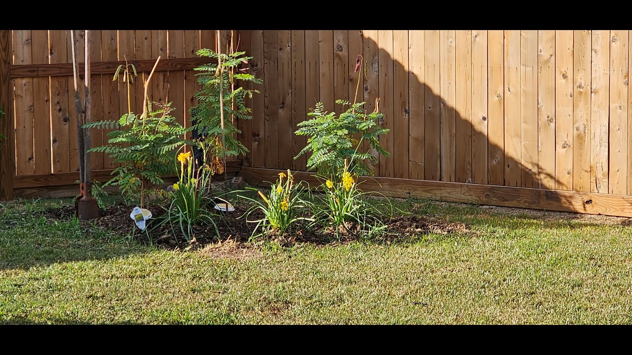 New Corner Flower Bed