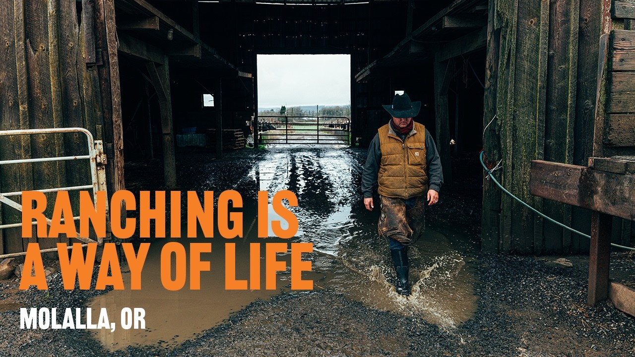 A Day in the Life on an Family Ranch | Moalla, OR