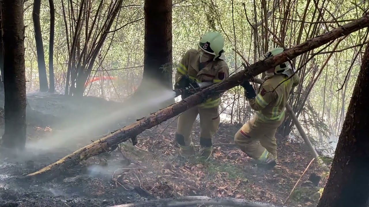 11.05.2021 - Waldbrand Kasbach