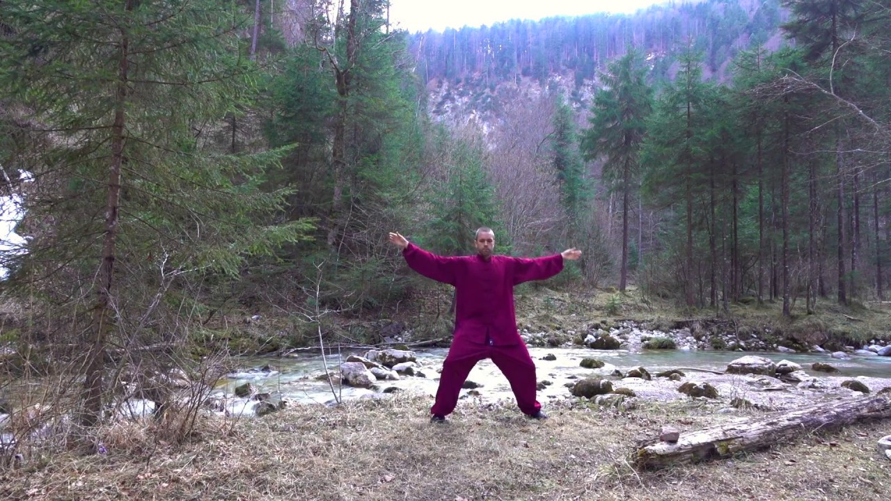 Shaolin Qi Gong - Baumübungen