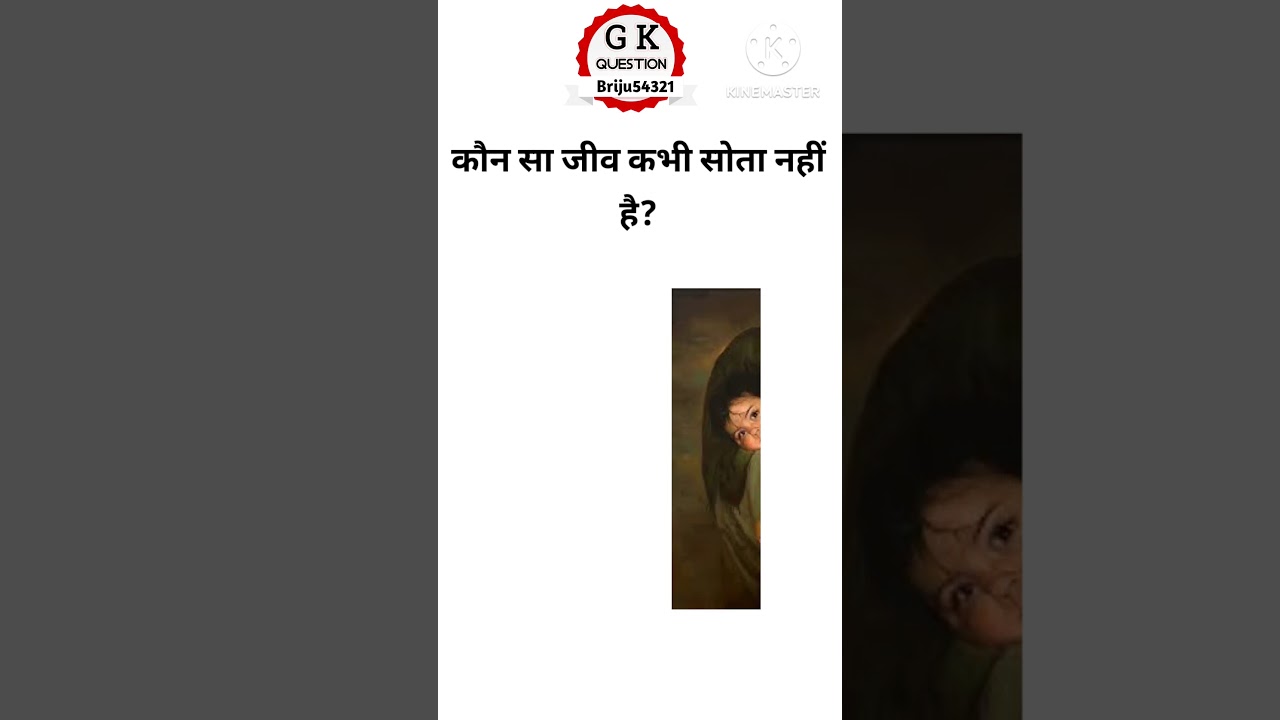 briju gk questions hindi 