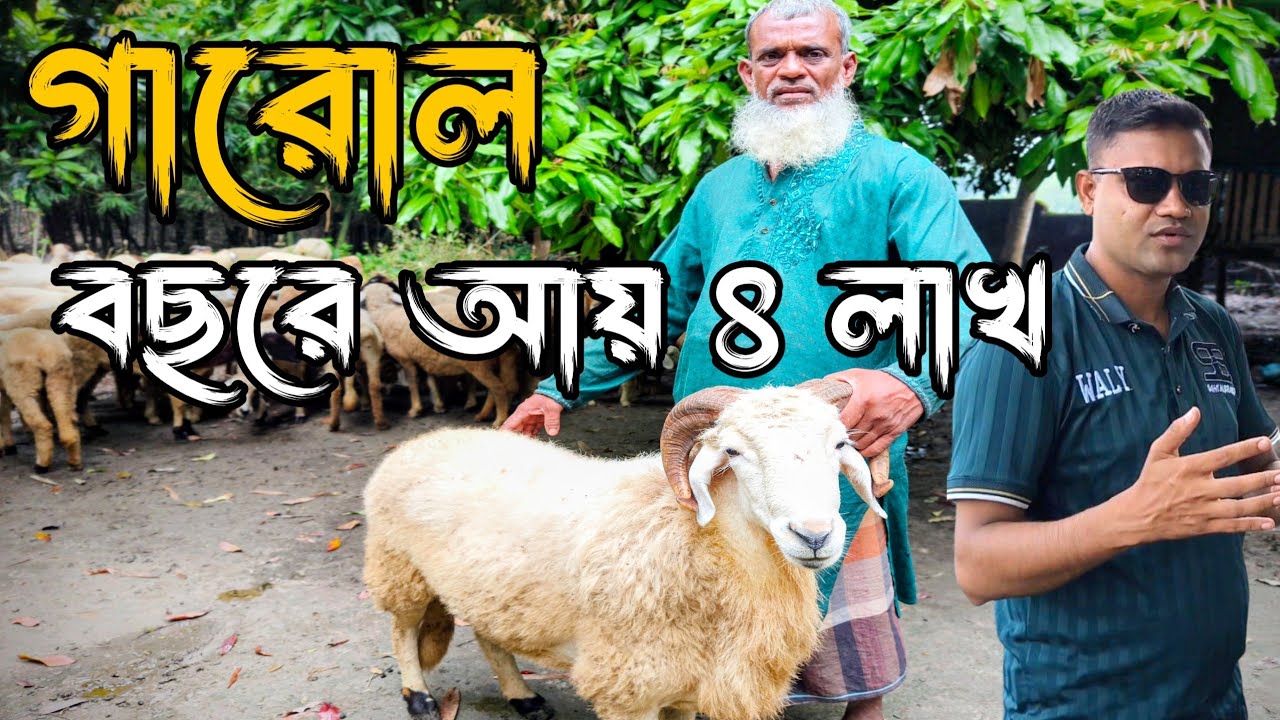 গারোল ভেড়ার খামারে গাজলুর রহমানের সাফল্য | মেহেরপুরের অনুপ্রেরণামূলক গল্প |Garol Sheep Farming in BD