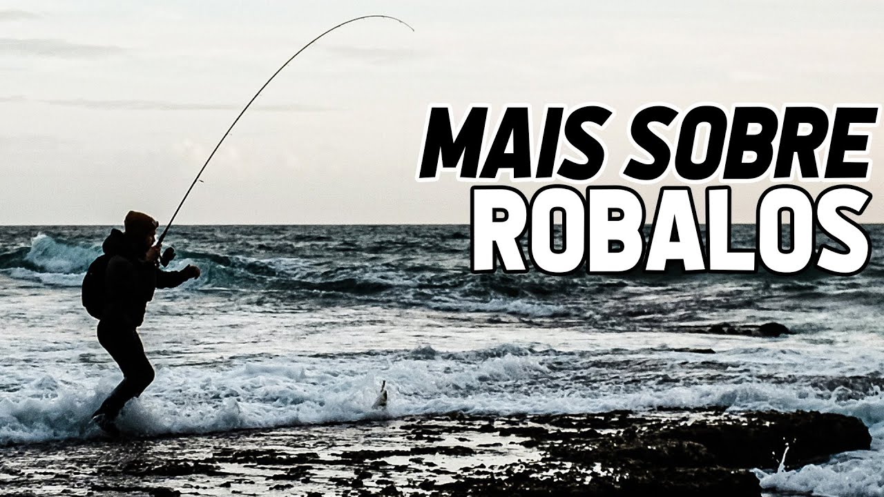 SEGREDOS PARA PESCAR ROBALOS AO SPINNING