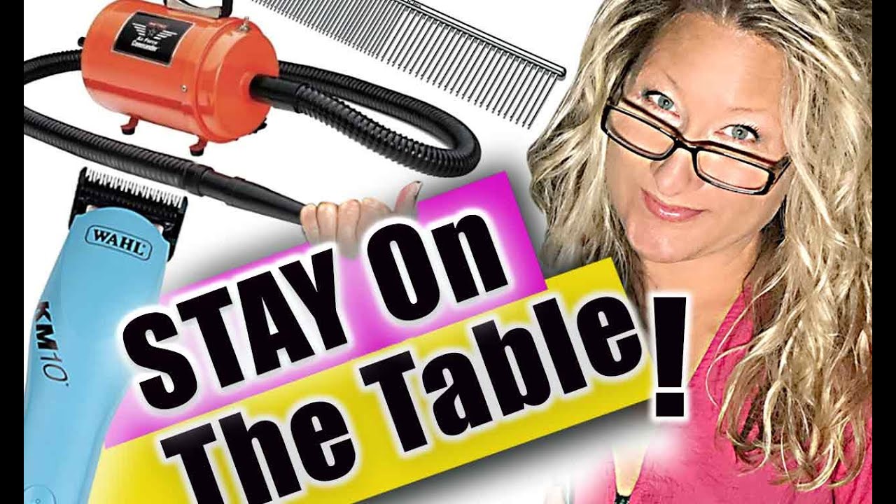 ITEMS that will keep your DOG from FALLING Off the Grooming TABLE
